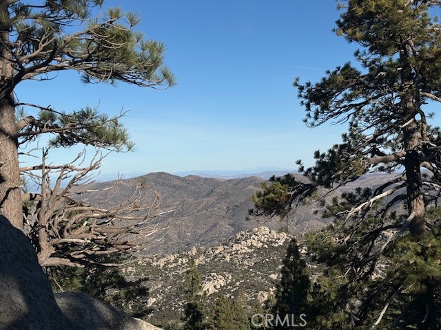 Detail Gallery Image 8 of 17 For 340 Bobcat Rd, Green Valley Lake,  CA 92314 - 1 Beds | 1 Baths