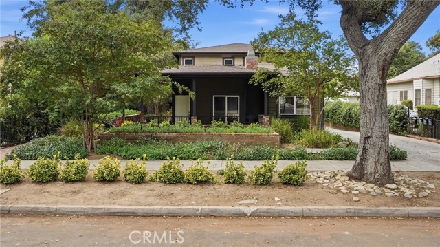 537 Cypress photo 4