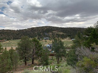 0 Ponderosa, Big Bear City, California 92314, ,Land,For Sale,0 Ponderosa,CROC20150732