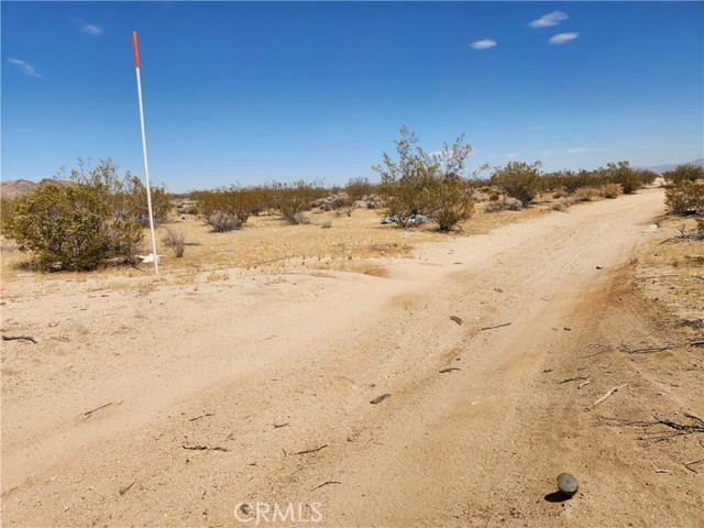 Detail Gallery Image 7 of 9 For 40 Ac Joshua Tree, Joshua Tree,  CA 92252 - – Beds | – Baths