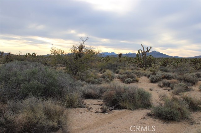 Detail Gallery Image 6 of 6 For 0 Cedar Canyon, Essex,  CA 92332 - – Beds | – Baths