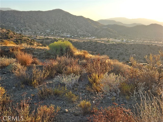 Detail Gallery Image 9 of 23 For 0 Angeles Forest, Palmdale,  CA 93550 - – Beds | – Baths