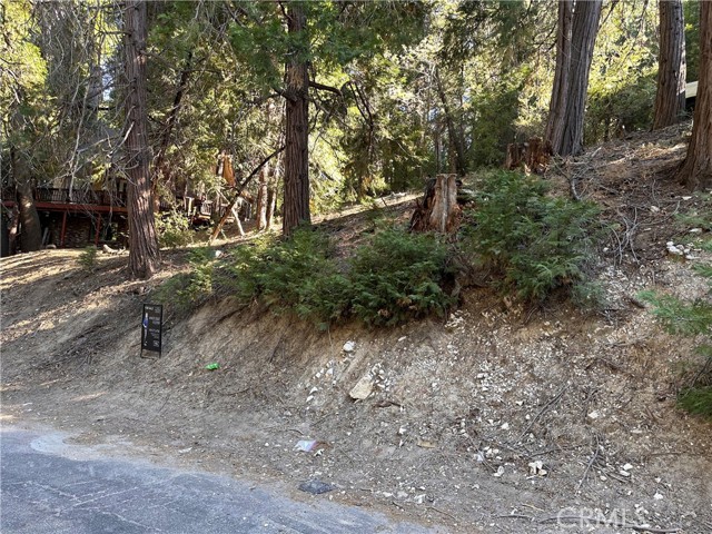 0 Alder Terrace, Cedar Glen, California 92321, ,Land,For Sale,0 Alder Terrace,CREV24034135