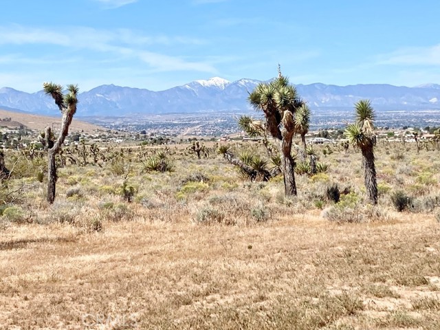 Detail Gallery Image 7 of 8 For 23777 Poppy Rd, Apple Valley,  CA 92308 - – Beds | – Baths