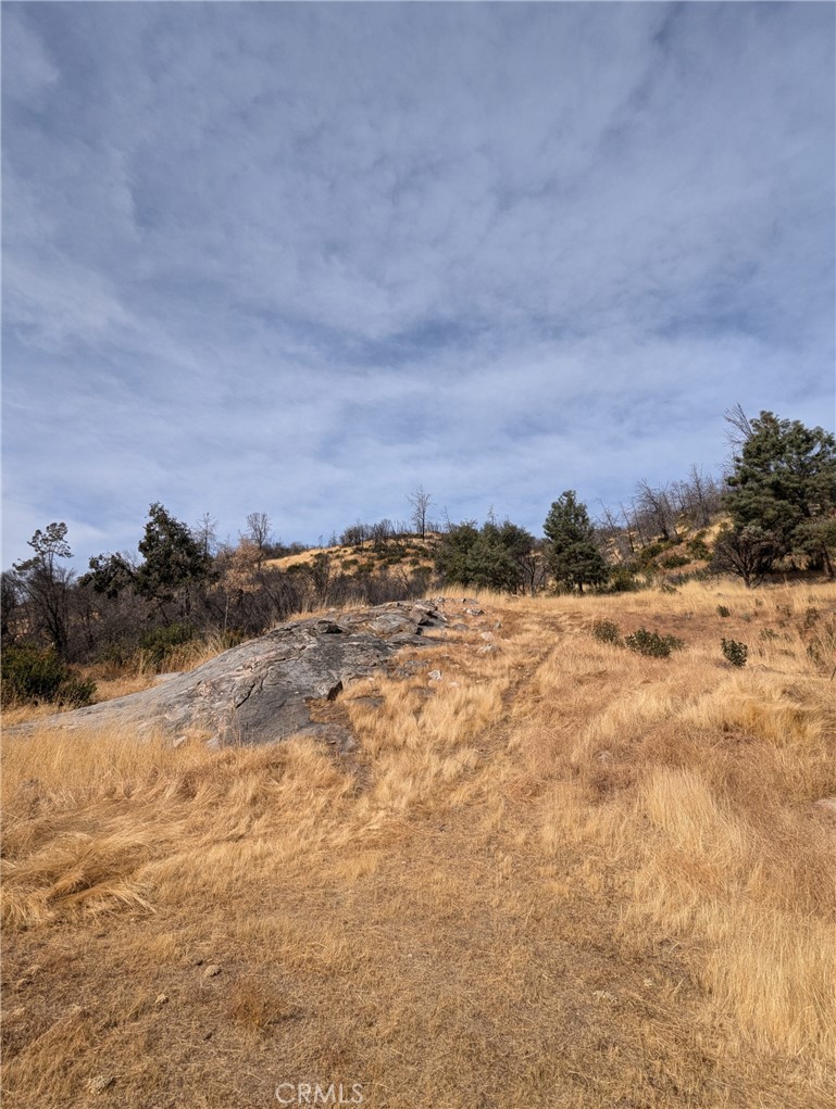 MLS #FR25135013 image #8