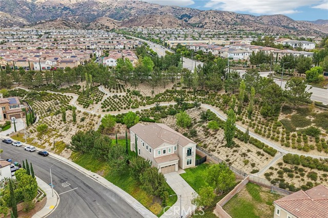 11978 Ricasoli Way photo 45