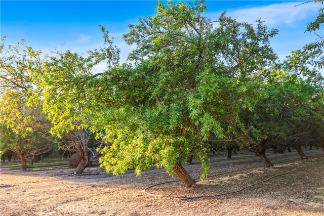 Detail Gallery Image 21 of 33 For 0 I5/Shields, Firebaugh,  CA 93622 - – Beds | – Baths