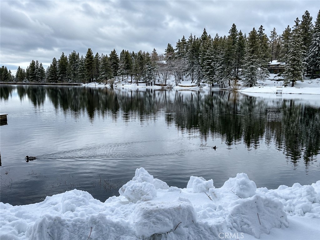 https://media.crmls.org/medias/31dcbcd0-6844-4fd2-a5bb-c8f010461fd6.jpg?preset=X-Large