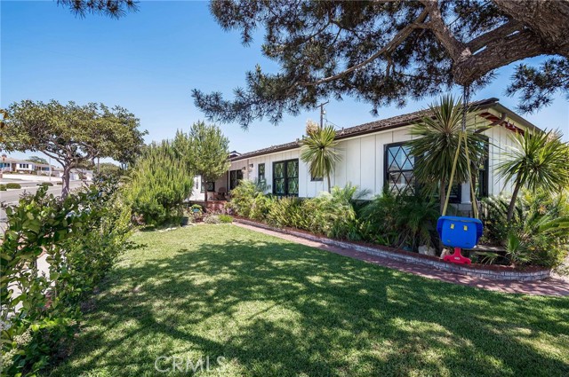 Large private front yard with a swing for the kids!