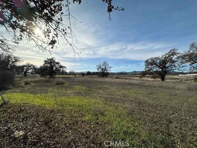 Detail Gallery Image 6 of 18 For 6965 Hammond Ave, Upper Lake,  CA 95485 - – Beds | – Baths