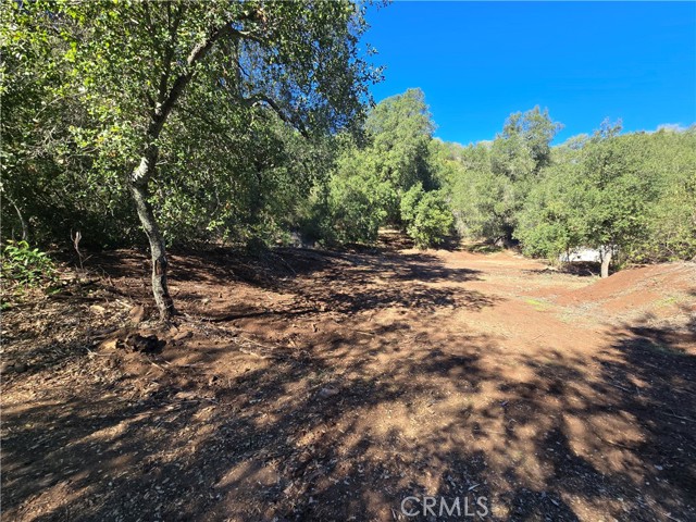 0 Avenida Perla Bonita, Murrieta CA: https://media.crmls.org/medias/31ecc8da-63e9-4494-b6ac-7eb7a4e38039.jpg