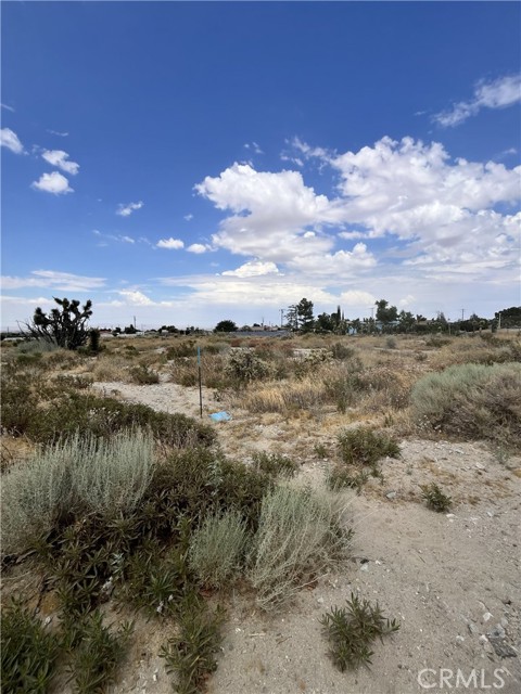  Land for Sale in Phelan, California