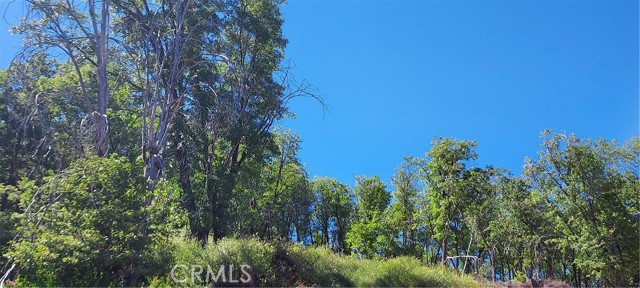 Detail Gallery Image 4 of 15 For 11960 Loch Lomond Rd, Middletown,  CA 95461 - – Beds | – Baths