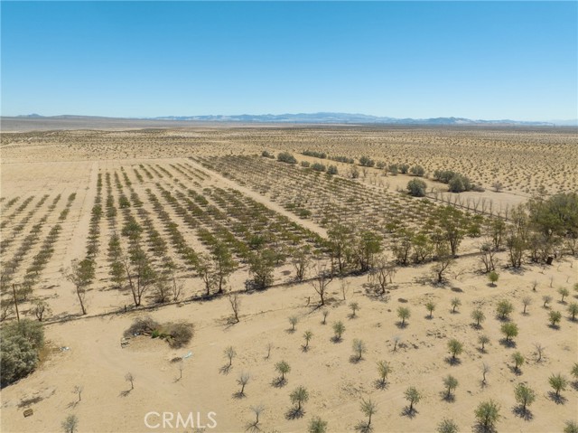 42797 Navajo, Newberry Springs, California 92365, ,Land,For Sale,42797 Navajo,CRHD23161688