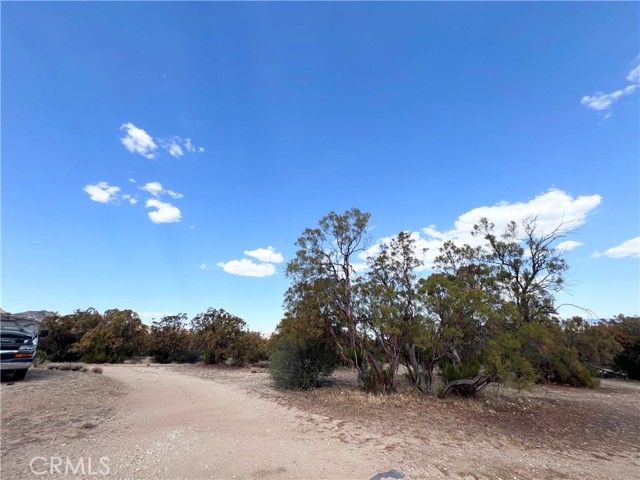 45080 Terwilliger Road, Anza CA: https://media.crmls.org/medias/31f2eee2-82f0-4945-a678-f9a7cfe8c645.jpg