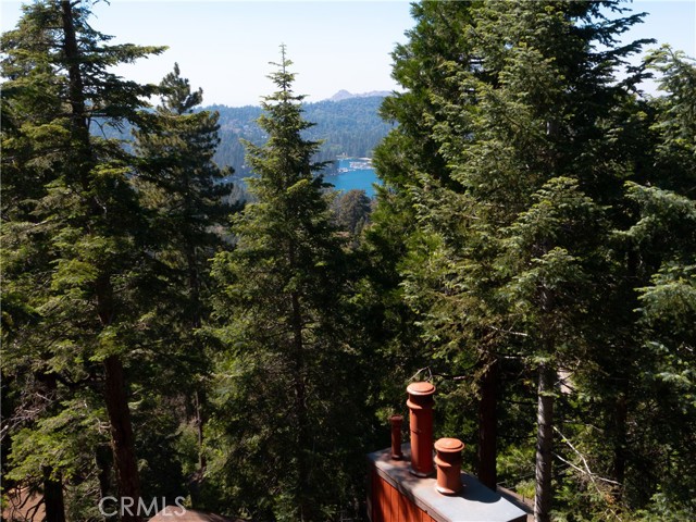 Detail Gallery Image 37 of 41 For 638 Buckingham Square, Lake Arrowhead,  CA 92352 - 3 Beds | 1/1 Baths