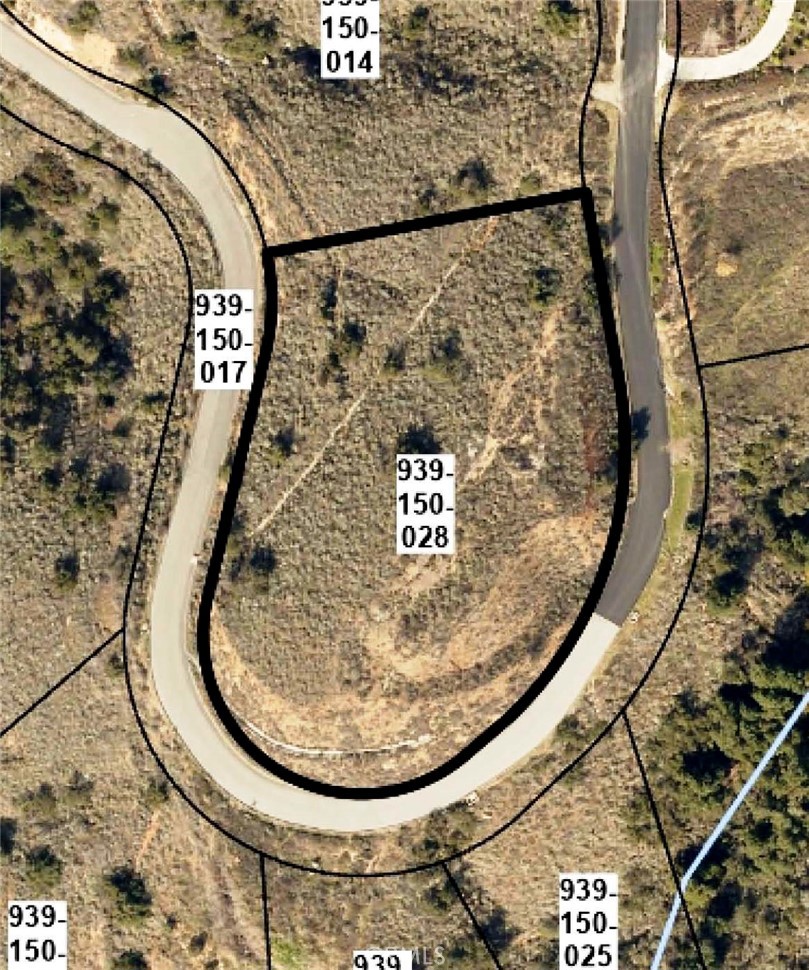 MLS #SW25229548 image #11