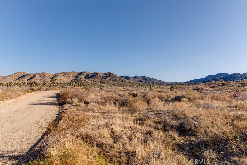 MLS #JT25229239 image #20