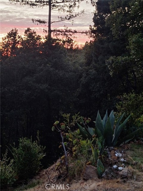 Detail Gallery Image 25 of 58 For 38160 Ocean Ridge Dr, Gualala,  CA 95445 - – Beds | – Baths