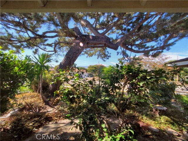 1012 Ottawa Drive, Claremont, California 91711, 3 Bedrooms Bedrooms, ,2 BathroomsBathrooms,Residential Lease,For Rent,1012 Ottawa Drive,CRAR25156315