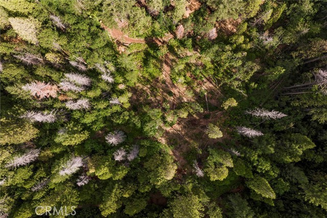 Detail Gallery Image 11 of 23 For 0 Tranquility/Skyway, Magalia,  CA 95954 - – Beds | – Baths