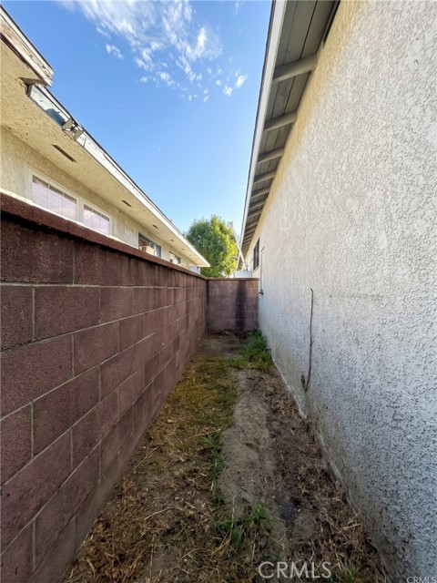 6933 Lime photo 33