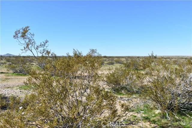 Detail Gallery Image 6 of 31 For 24 Frontier, Helendale,  CA 92342 - – Beds | – Baths