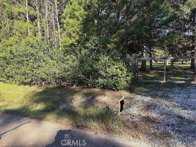 Detail Gallery Image 3 of 13 For 26430 Clyde Blount Rd, –,  LA 70754 - – Beds | – Baths