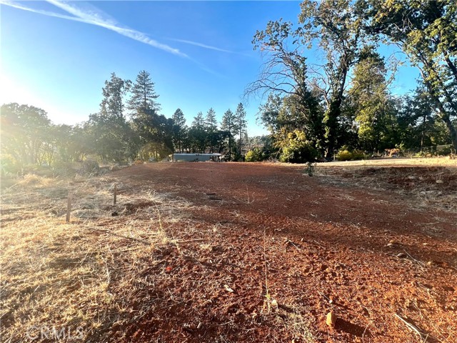 450 Stacy Lane, Paradise, California 95969, ,Land,For Sale,450 Stacy Lane,CRSN23182545