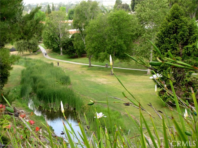 Detail Gallery Image 33 of 38 For 859 Ronda Mendoza #D,  Laguna Woods,  CA 92637 - 2 Beds | 2 Baths