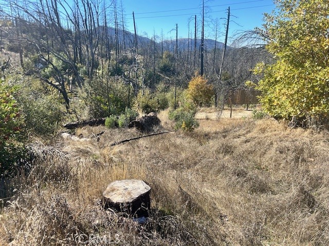 Detail Gallery Image 14 of 39 For 0 Craig Access, Feather Falls,  CA 95940 - – Beds | – Baths