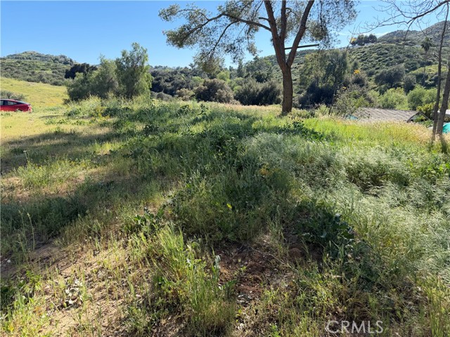 Front Image Thumbnail for CRSW26066868