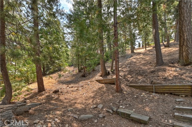 26746 Oakmont Drive, Lake Arrowhead CA: https://media.crmls.org/medias/3229cb72-3a01-4b4a-a716-d585932c32df.jpg