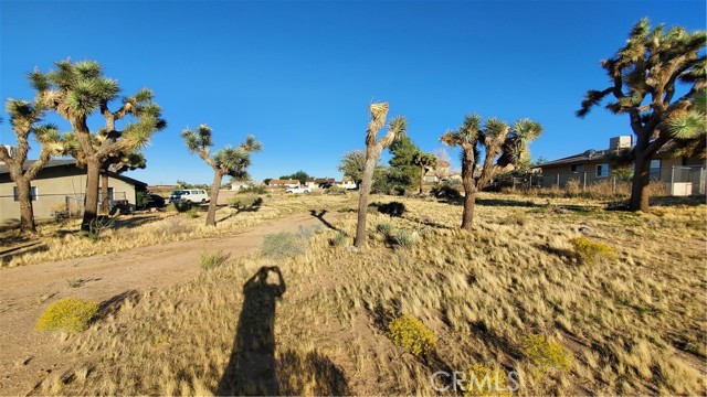 Detail Gallery Image 4 of 4 For 0 Palo Alto Ave, Yucca Valley,  CA 92284 - – Beds | – Baths
