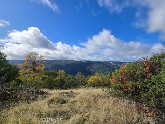 Front Image Thumbnail for CRLC25246928