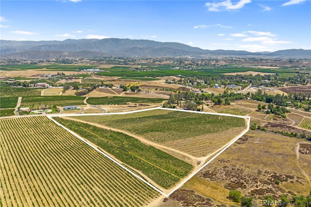 MLS #SW25161061 img 10