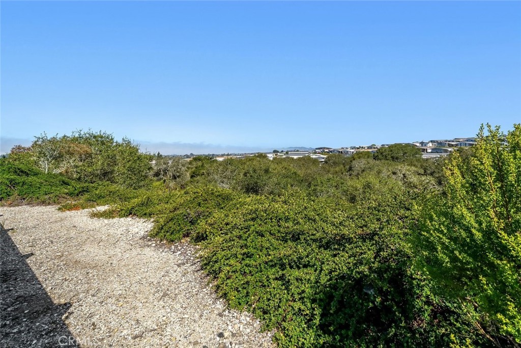 MLS #SC26142187 image #37