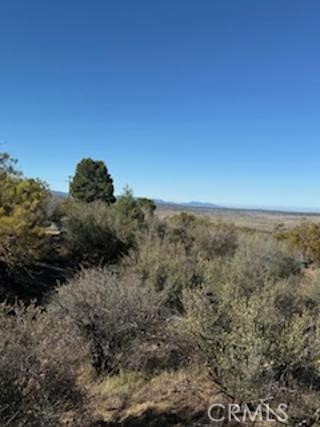 MLS #SW25227735 image #6