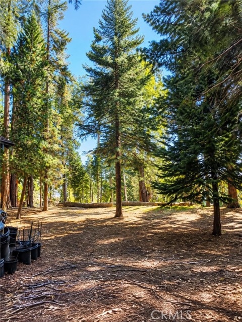 27877 Holly, Lake Arrowhead, CA 92352