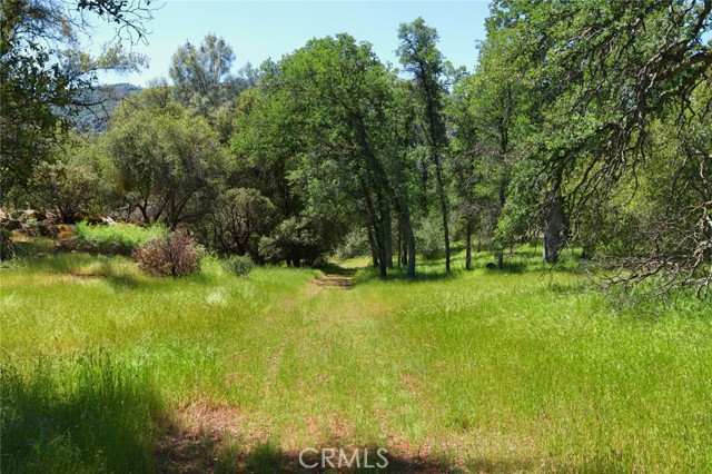 Detail Gallery Image 2 of 9 For 0 19.6 Ac Quail Dr, Oakhurst,  CA 93644 - – Beds | – Baths