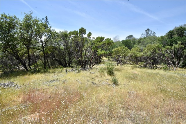 0 Mackey Court, Oroville CA: https://media.crmls.org/medias/32528502-c3c2-40cb-856d-3cc8b34db1f7.jpg