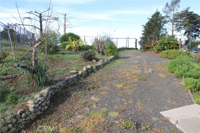 Detail Gallery Image 30 of 41 For 1909 Pineridge, Cambria,  CA 93428 - 2 Beds | 2 Baths