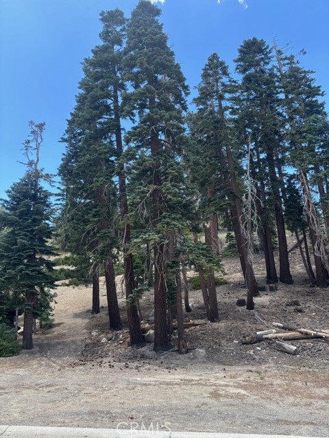 49 Bridges Lane, Mammoth Lakes CA: https://media.crmls.org/medias/325decb8-a8ed-4e3a-9fe2-2859914d0ed8.jpg