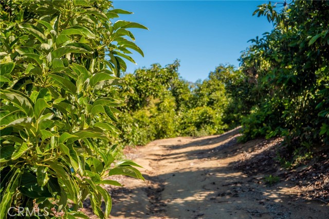 Detail Gallery Image 11 of 15 For 16 Camaron Rd, Temecula,  CA 92590 - – Beds | – Baths