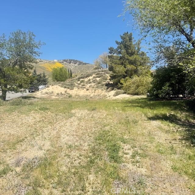 1 Johnson Road, Lake Elizabeth CA: https://media.crmls.org/medias/32615cc5-1f0d-4f04-952d-5f289c9a39d4.jpg