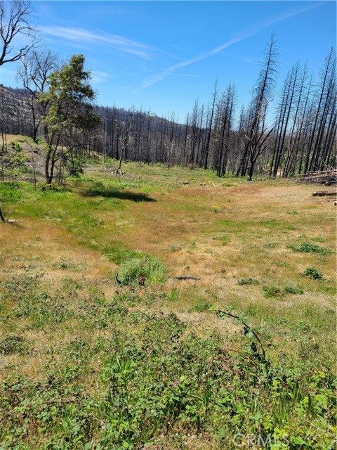 588 Zink, Berry Creek, CA, 95916 588 Zink, Berry Creek, CA, 95916