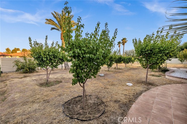 Detail Gallery Image 46 of 63 For 43639 Tomahawk Pl, Lancaster,  CA 93536 - 5 Beds | 3 Baths