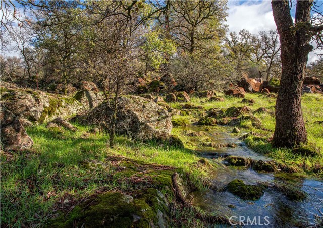 Detail Gallery Image 7 of 16 For 0 Grindstone, Chico,  CA 95973 - – Beds | – Baths