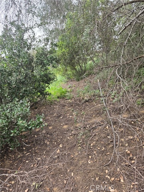 Detail Gallery Image 7 of 10 For 16872 Sumach, Chino Hills,  CA 91709 - – Beds | – Baths