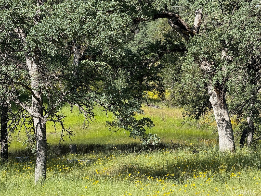 https://media.crmls.org/medias/32862c65-b701-41ac-9cd8-f8145c9bd662.jpg?preset=X-Large